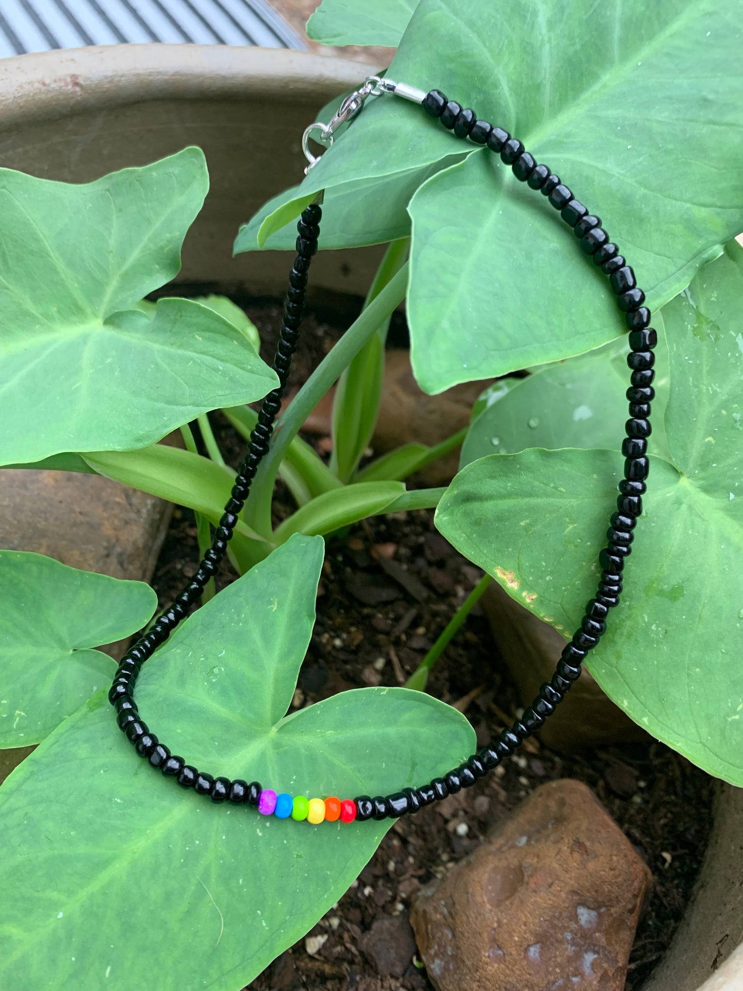 Coal Black Rainbow Set