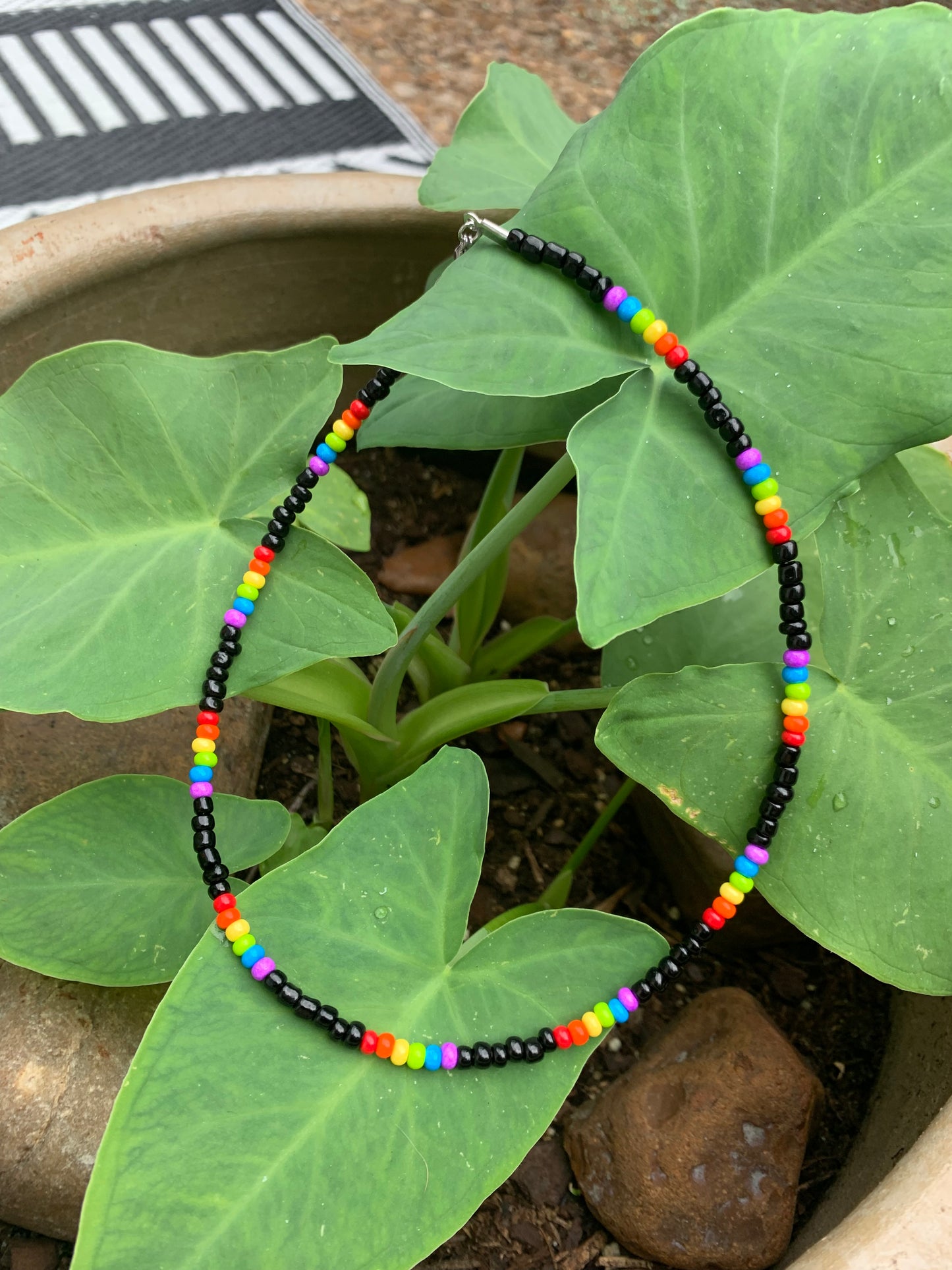 Black Rainbow Set