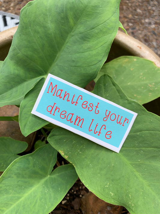 Manifest your dream life